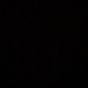 Meet your Posher, Landon